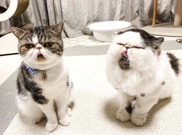 いい表情をするぼっこちゃんとずーちゃん