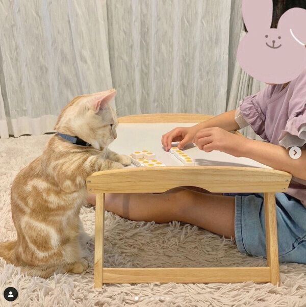 娘さんと遊ぶきなこくん