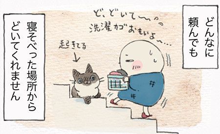 「ねこ連れ草」サムネイル
