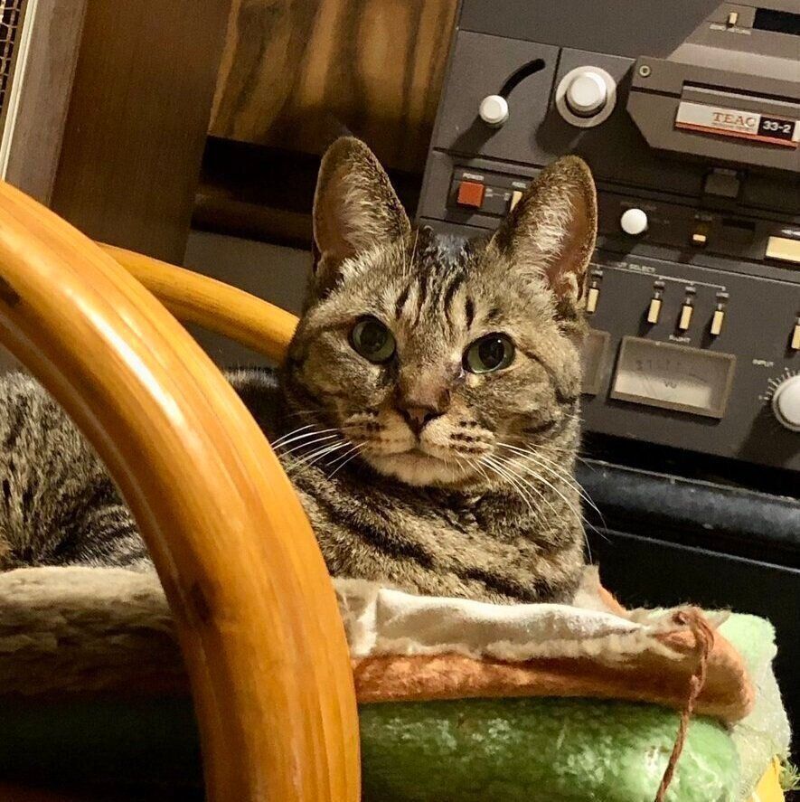 椅子に座るさくらさん