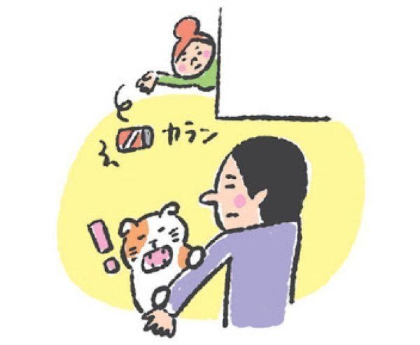 「噛む引っかく」をしやすい猫の特徴