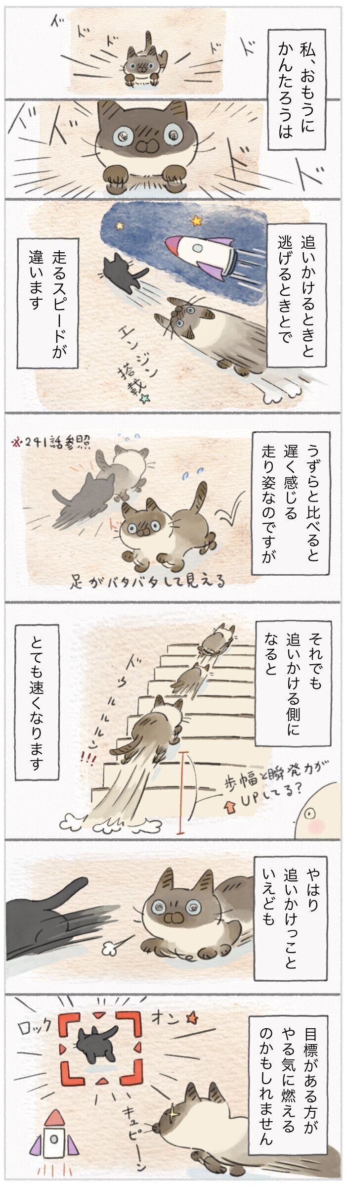 「ねこ連れ草」242話め