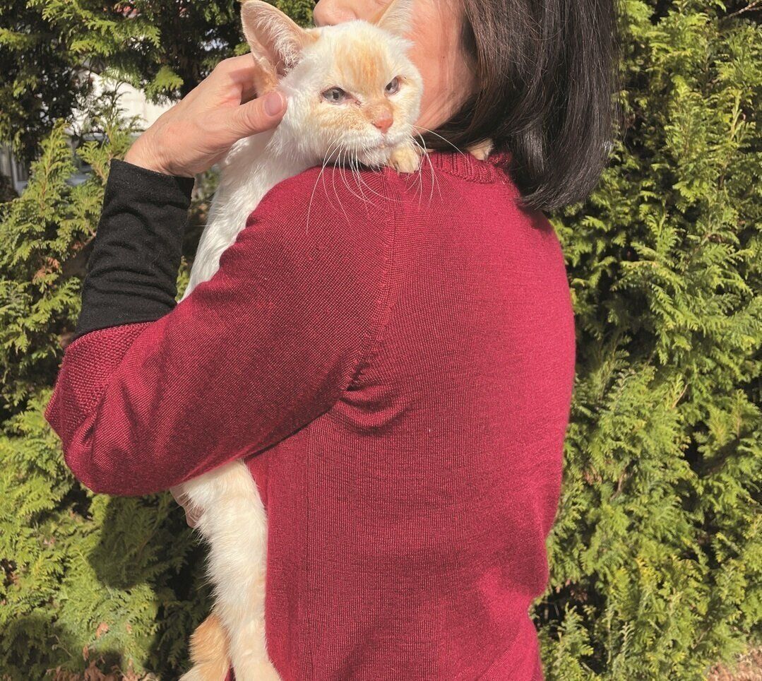 画像／ねこのきもち2024年3月号