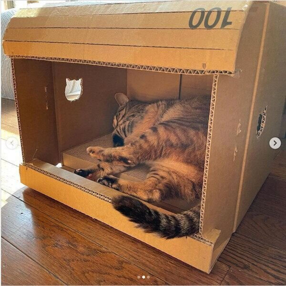 3階建てまで 愛猫のために作る Diy猫ハウス のクオリティに驚き ねこのきもちweb Magazine 3階建てまで 愛猫のために作る Diy猫ハウス のクオリティに驚き ねこのきもちweb Magazine