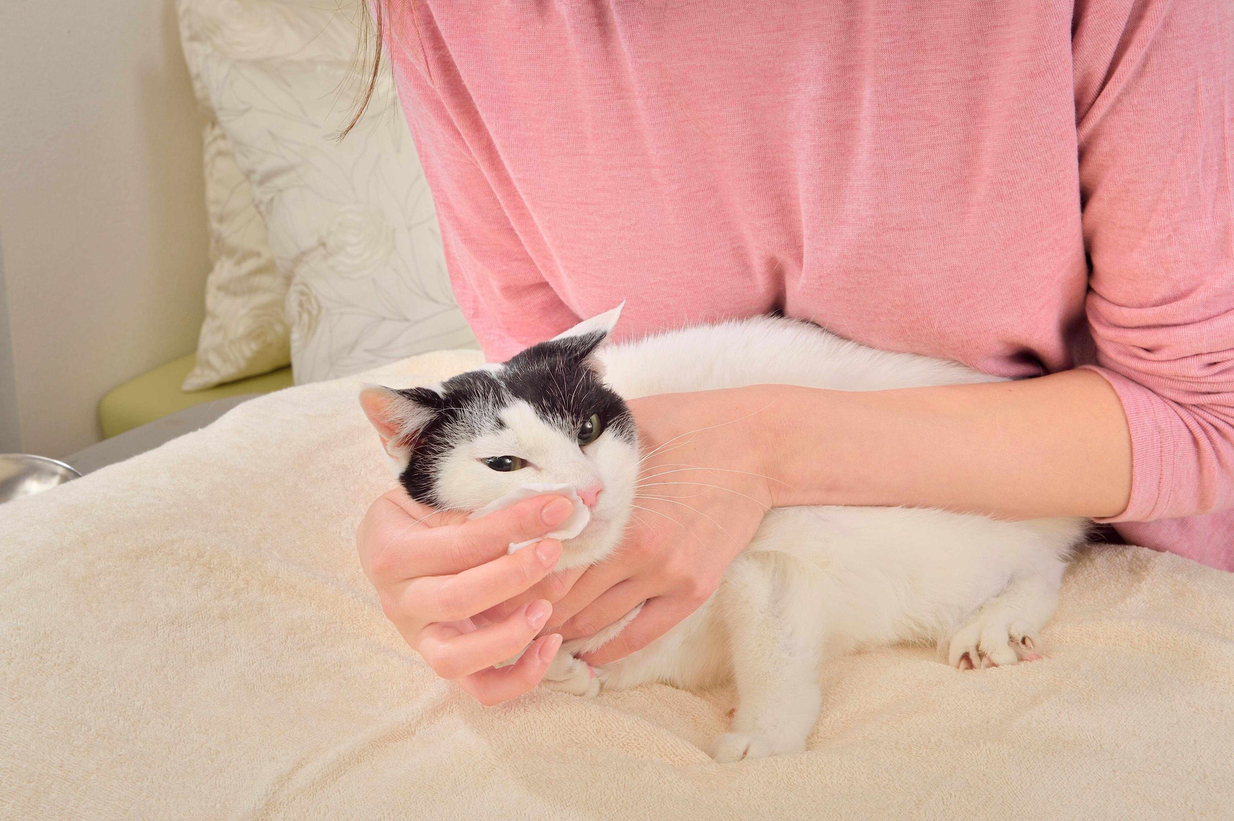 撮影／佐藤正之