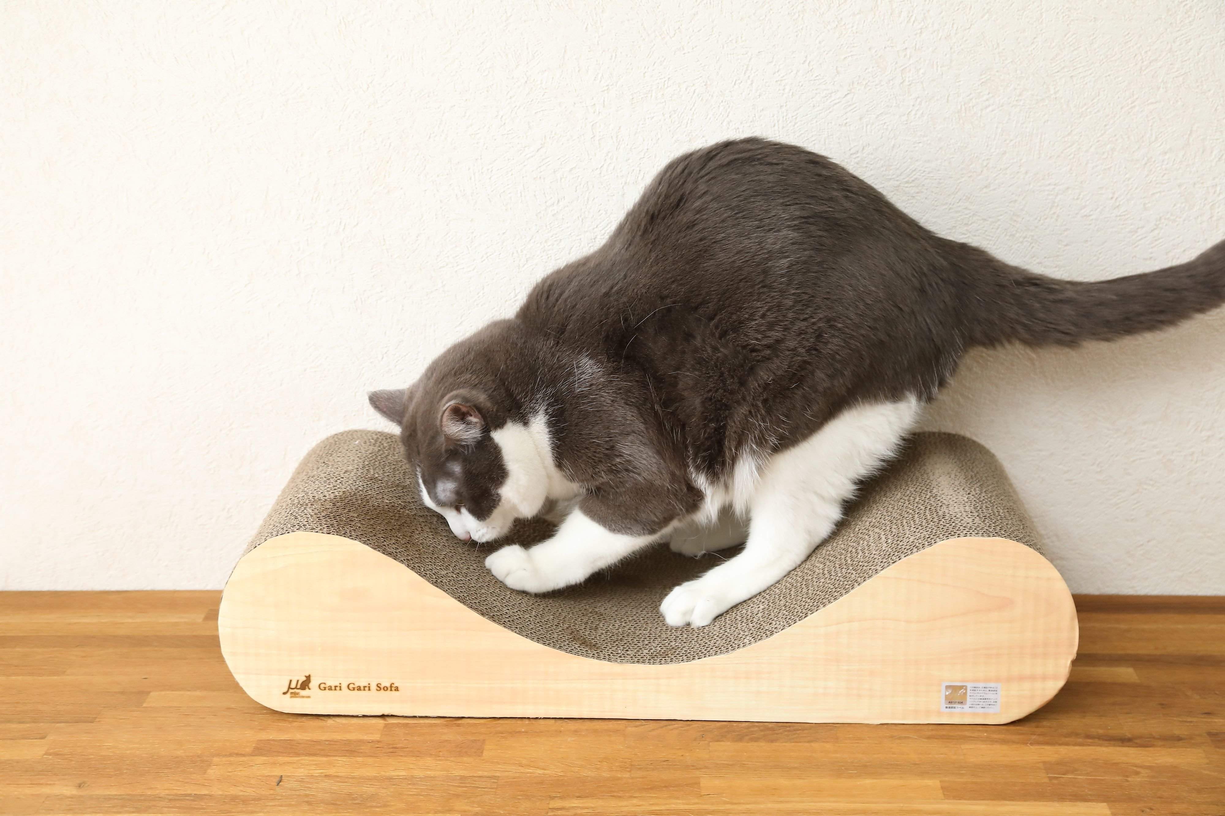 撮影／尾﨑たまき