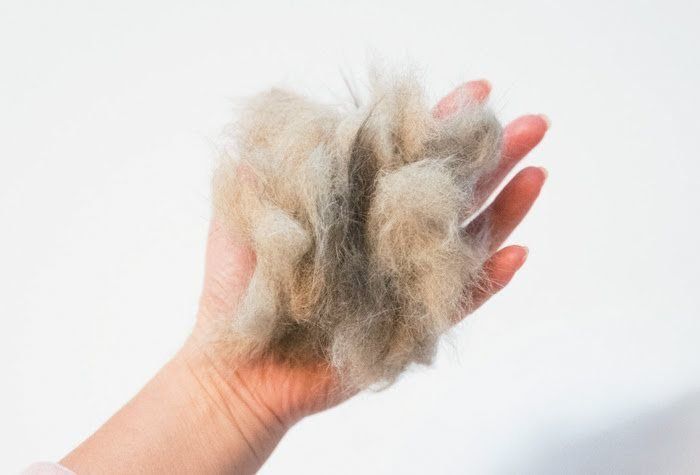 猫毛ボール作り方、抜け毛を手のひらにのせる
