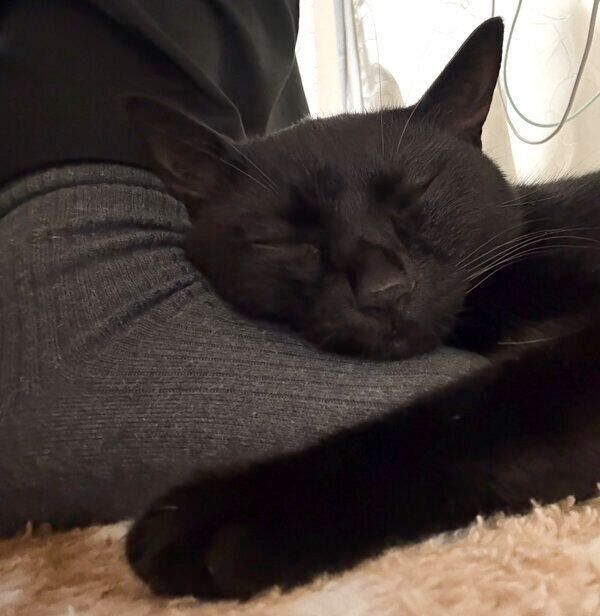 足の甲を枕にしてうとうと