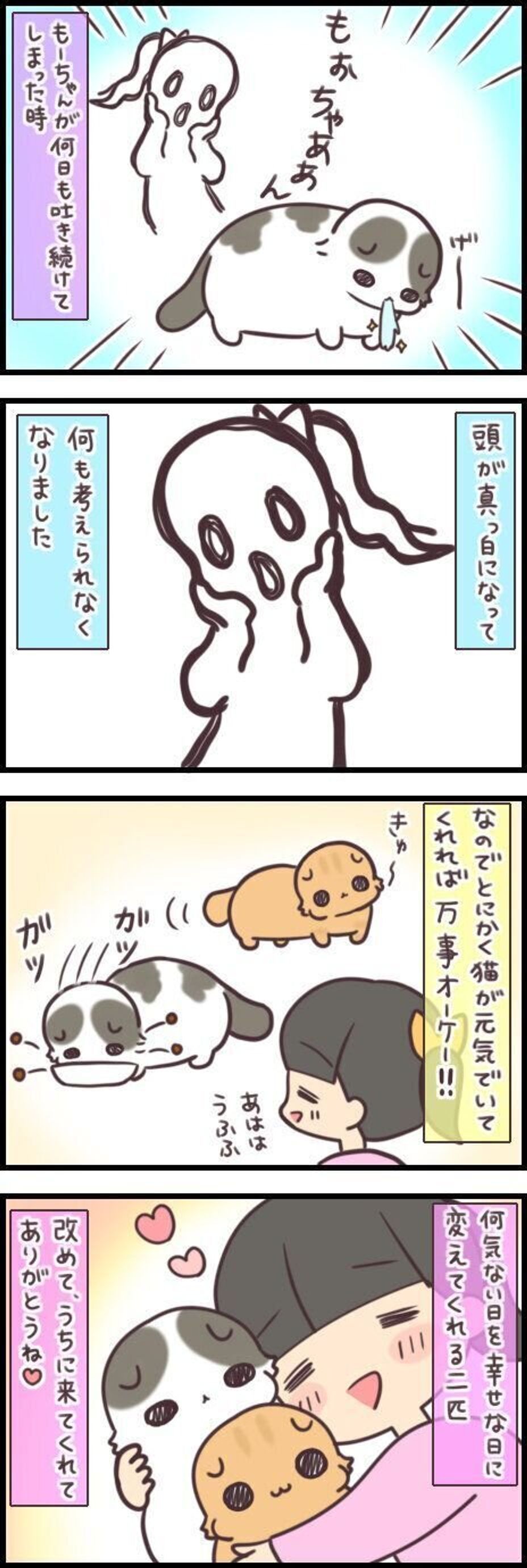 日々の何気ない幸せは 愛猫が元気でいてくれる からこそ 連載 もふもふスコたん ねこの日限定話 ねこのきもちweb Magazine 日々の何気ない幸せは 愛猫が元気でいてくれる からこそ 連載 もふもふスコたん ねこの日限定話 ねこのきもちweb Magazine