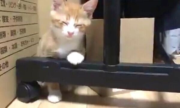 電池切れするいなりくん