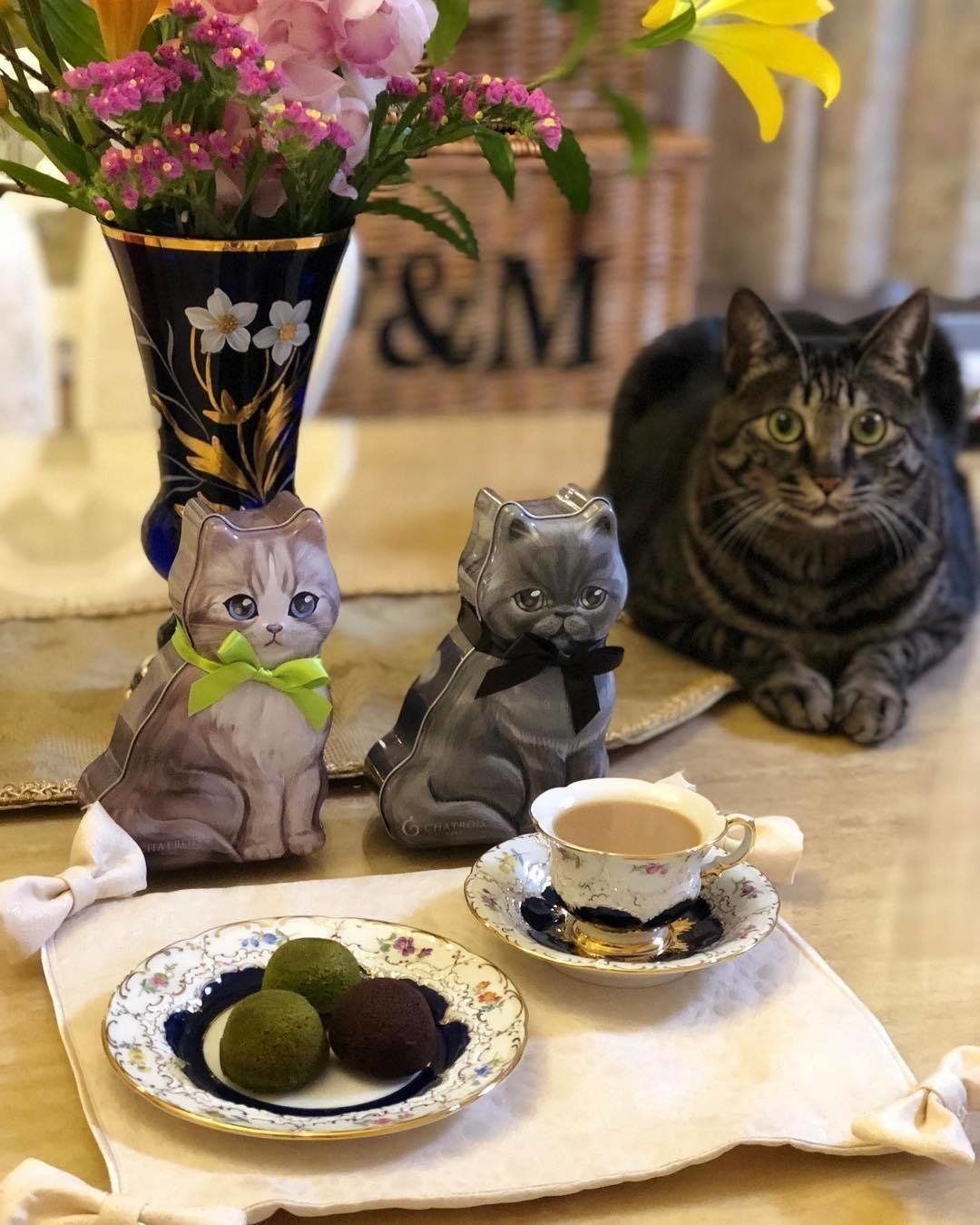 プーちゃんと猫缶