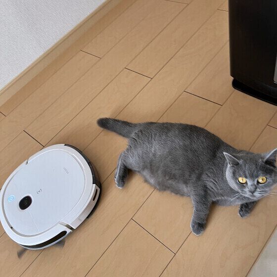掃除機のそばにいるムーンちゃん