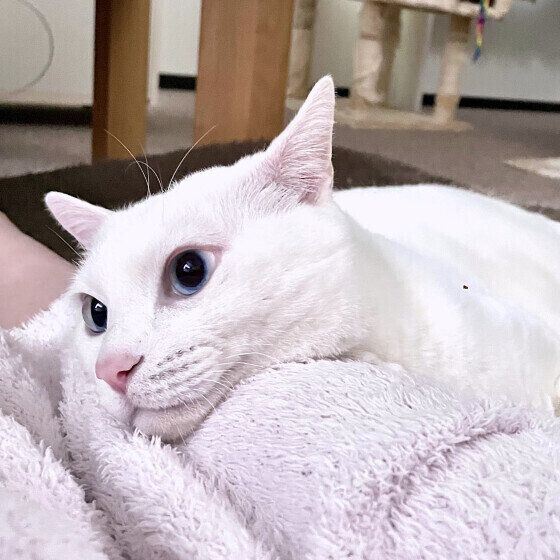 Mix（白）のソラちゃんくん♪