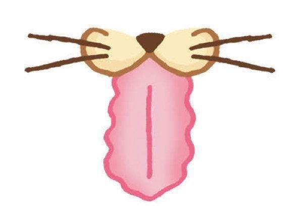 健康／異変のある猫の舌