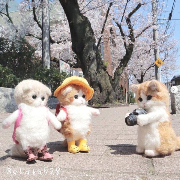 cha-taさんの羊毛フェルト作品