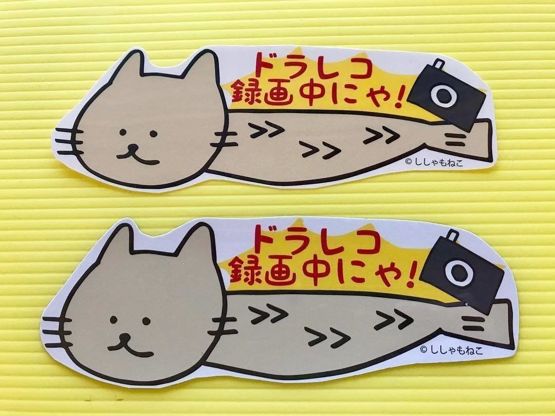 危険運転する車に注意を呼び掛けるししゃもねこ