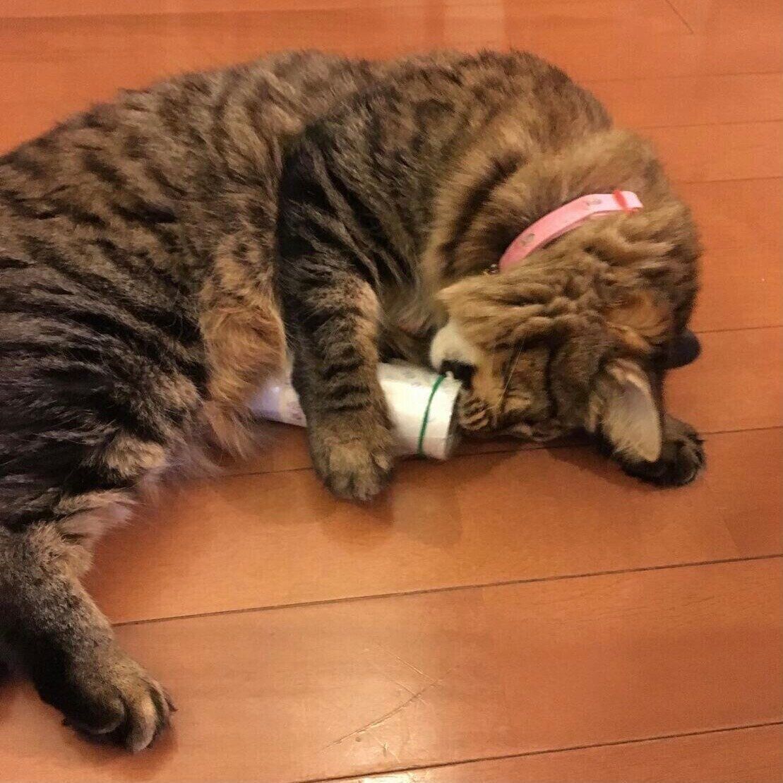 ＠seiko_ninasanta_riograndeさん作の猫おもちゃ