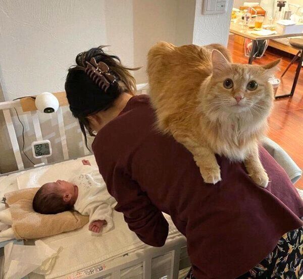 飼い主さんの背中に乗るもちゃこちゃん