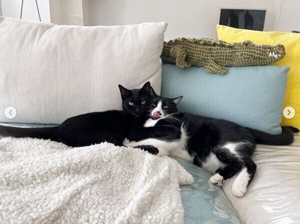 頬を寄せ合うはなおくん、豆太郎くん