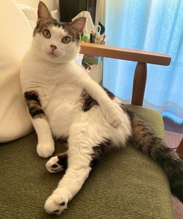 立派に成長したえんちゃん