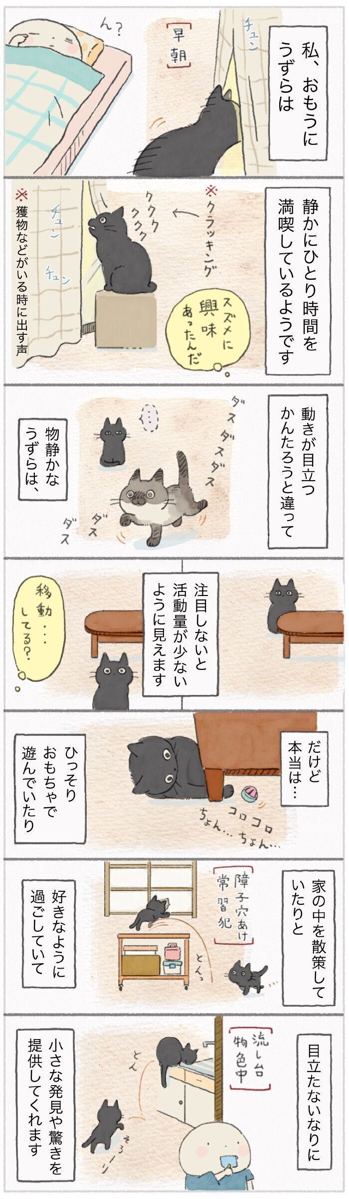 「ねこ連れ草」133話め