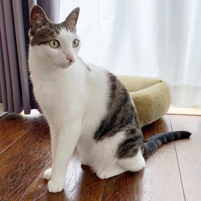 立派に成長した銀時くん。凛々しい表情がかっこいい！