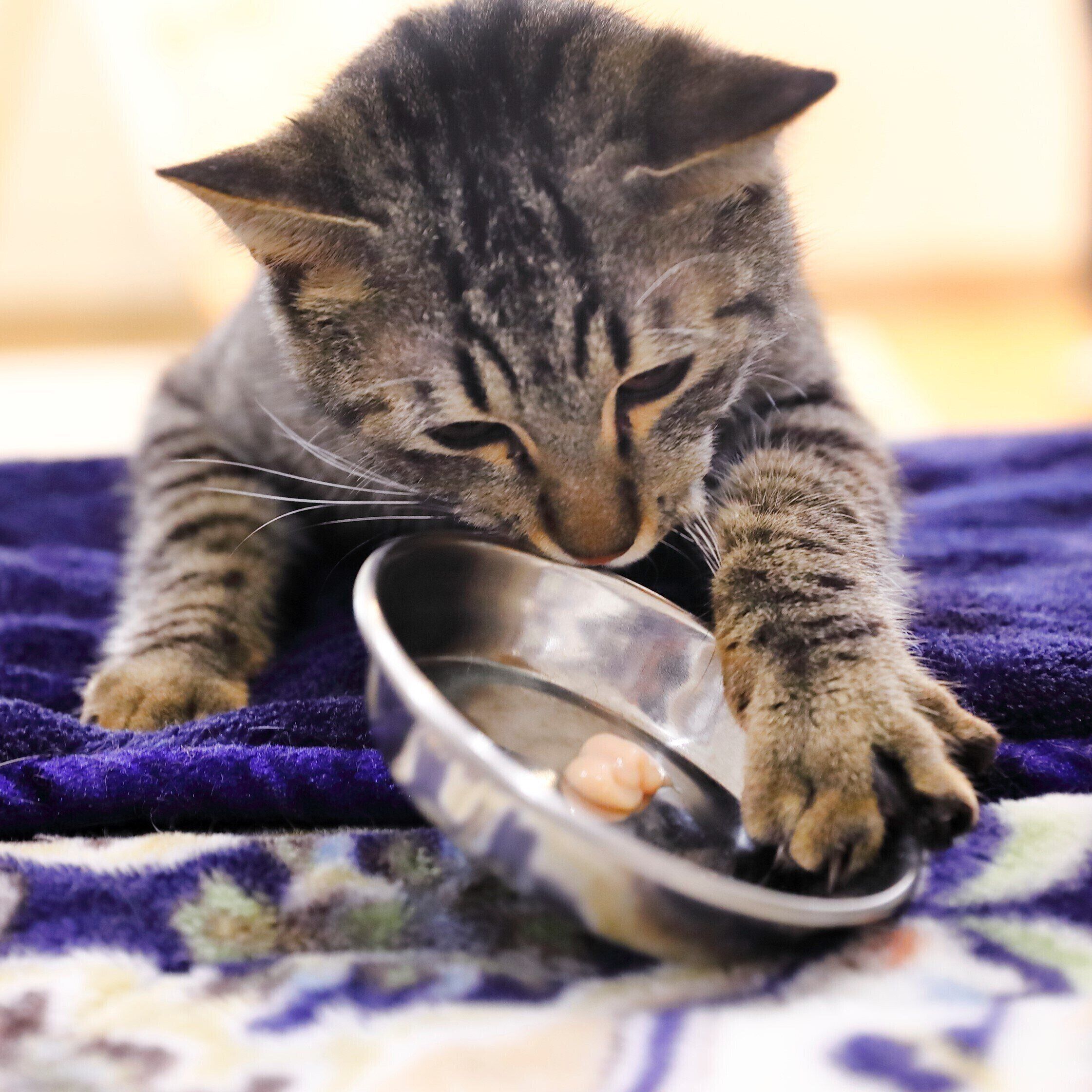 撮影／後藤さくら