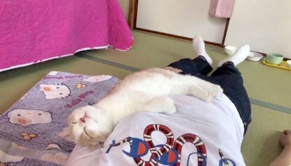 飼い主さんの上で眠るてんぷらくん