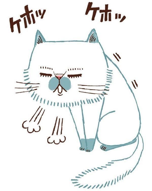 ○○がある・ないのサインでわかる猫の病気