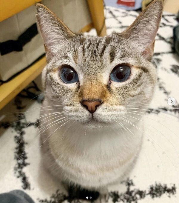 「そろそろ時間なんですけど…」とアピールするラメちゃん