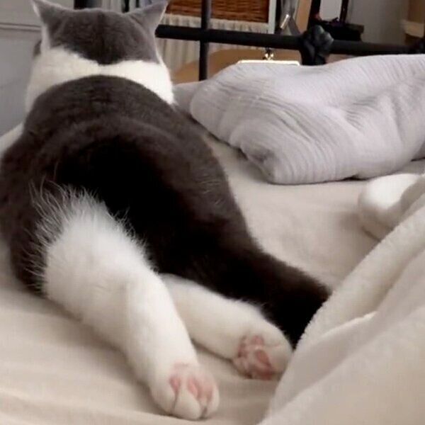 添い寝をするおもちちゃん