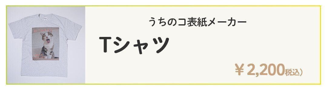 Tシャツの詳細を見る
