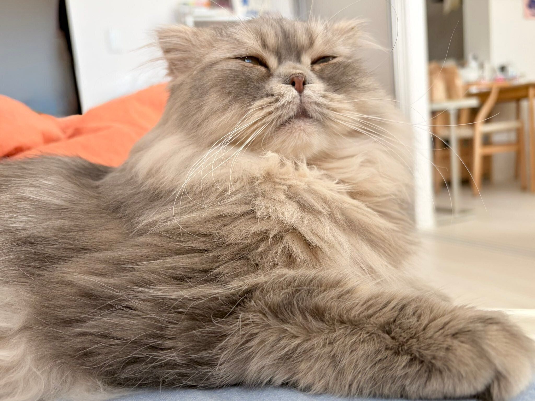 フライングでうっとりするロッシュくん