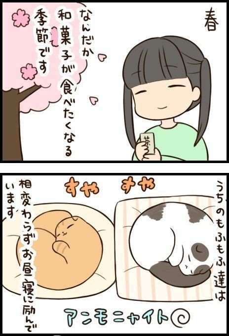 「もふもふスコたん」20話目