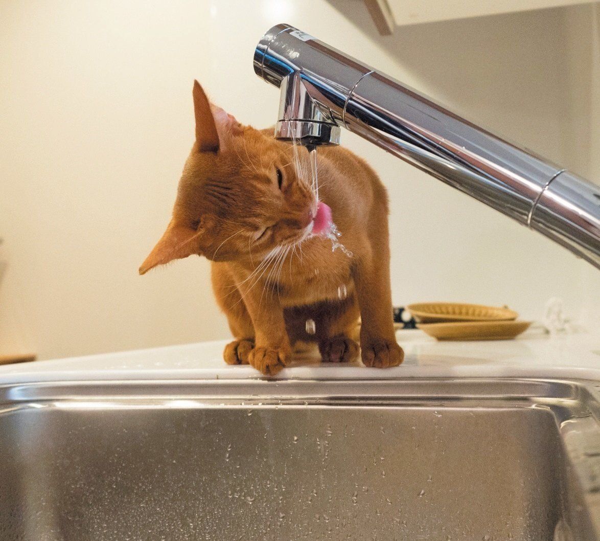 撮影／小森正孝