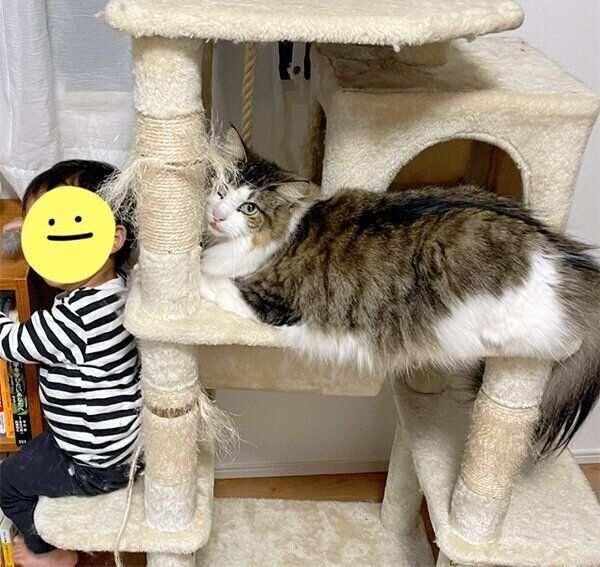 弟くんとシィクくん