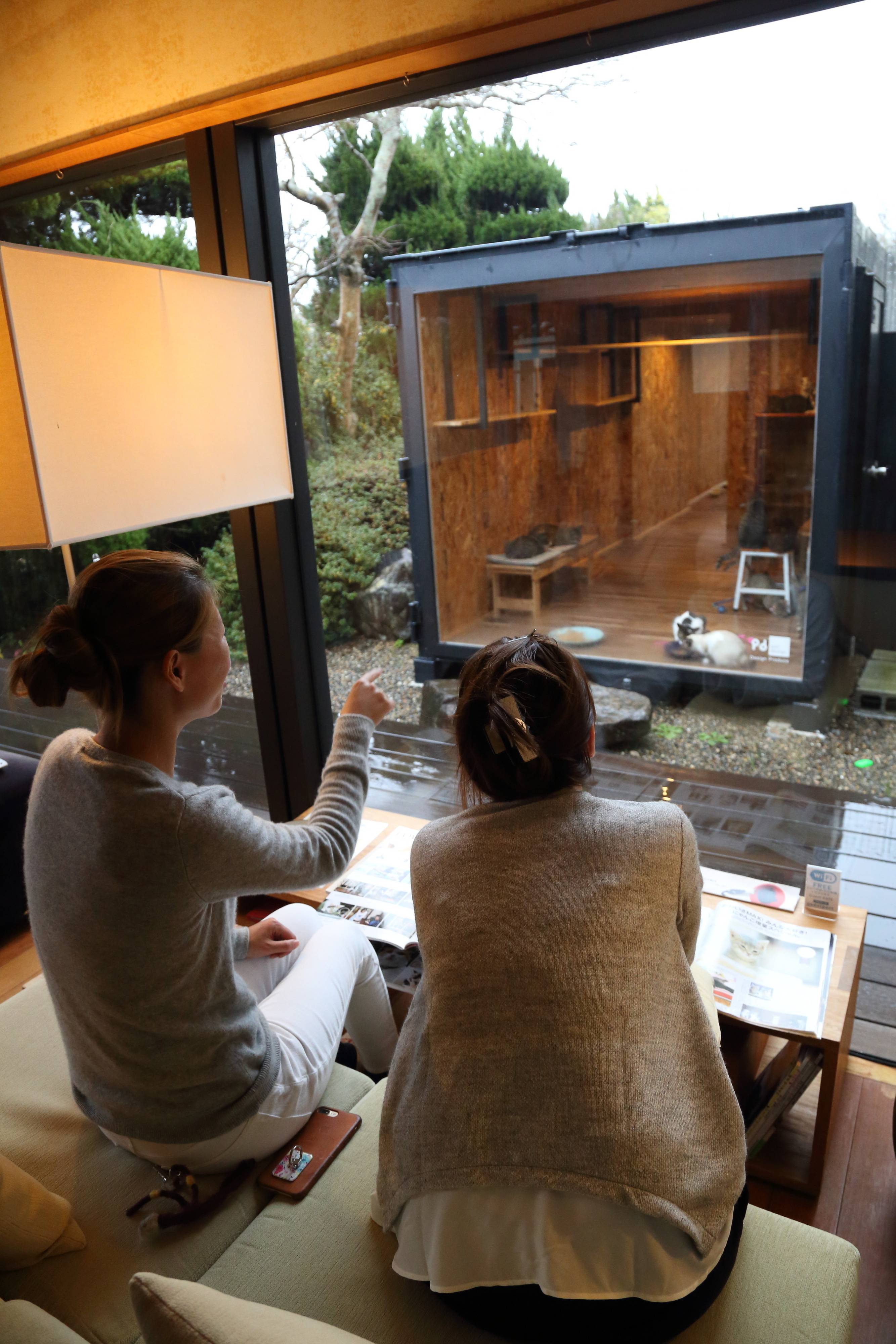 撮影／尾崎たまき