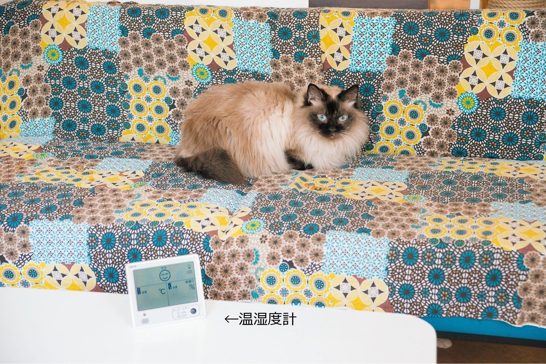 撮影／中川文作