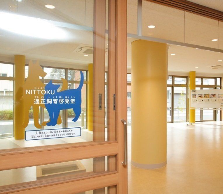 撮影／尾﨑たまき