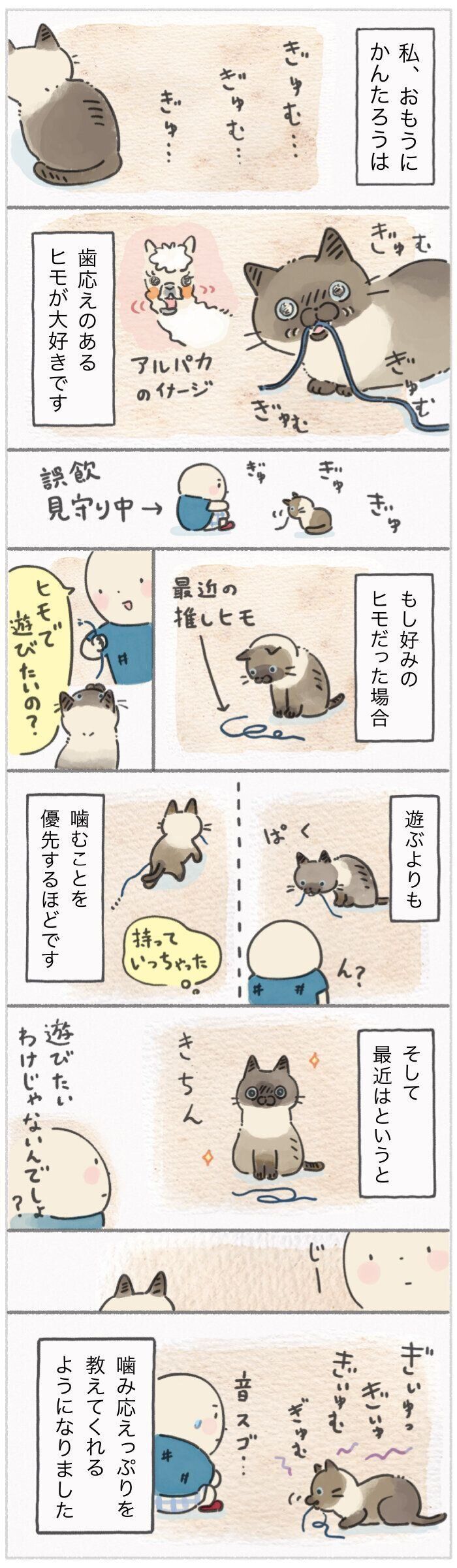 「ねこ連れ草」281話め