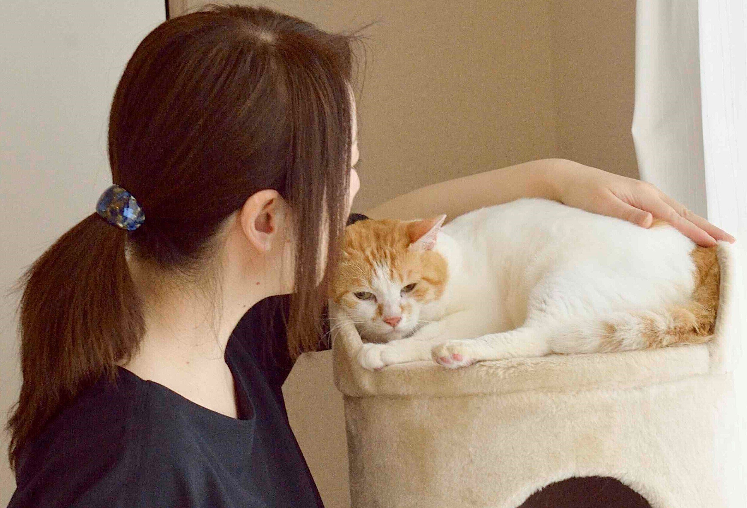 撮影／奥山美奈子