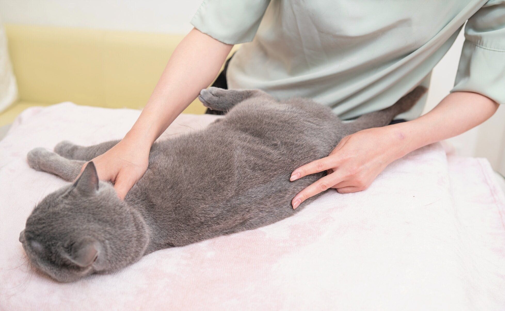 指で背骨を挟んでゆらす