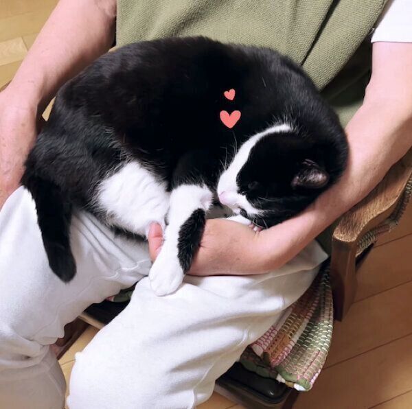 お父さんに甘えるキキ様