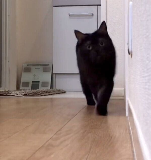 近づいてくるあおみねくん