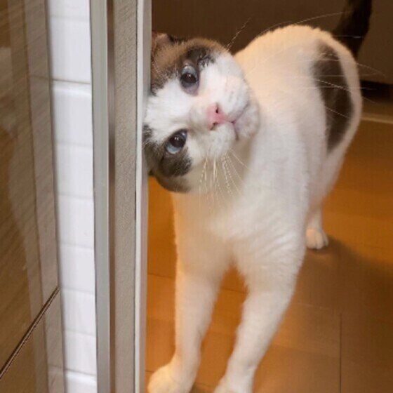 スリスリする藍太郎君