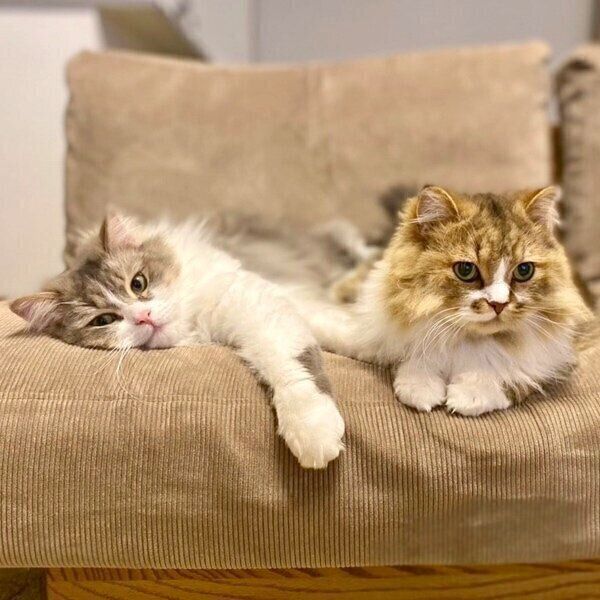 まるで記念写真のようにバッチリ決まったたろじろコンビ