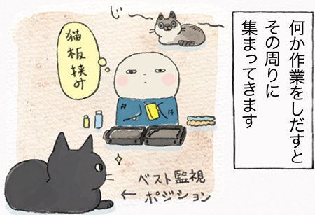 「ねこ連れ草」サムネイル