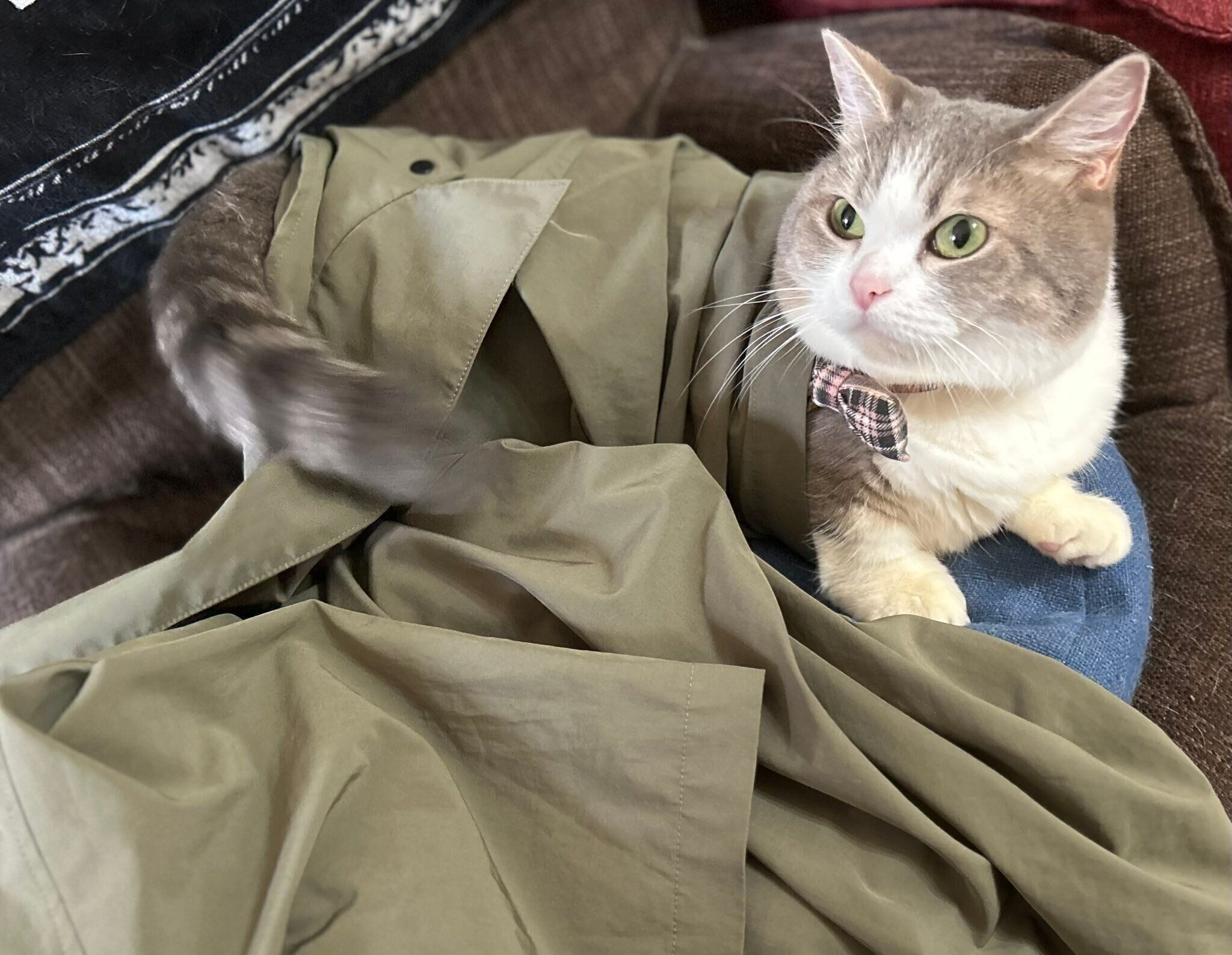 服の袖に入るありすちゃん