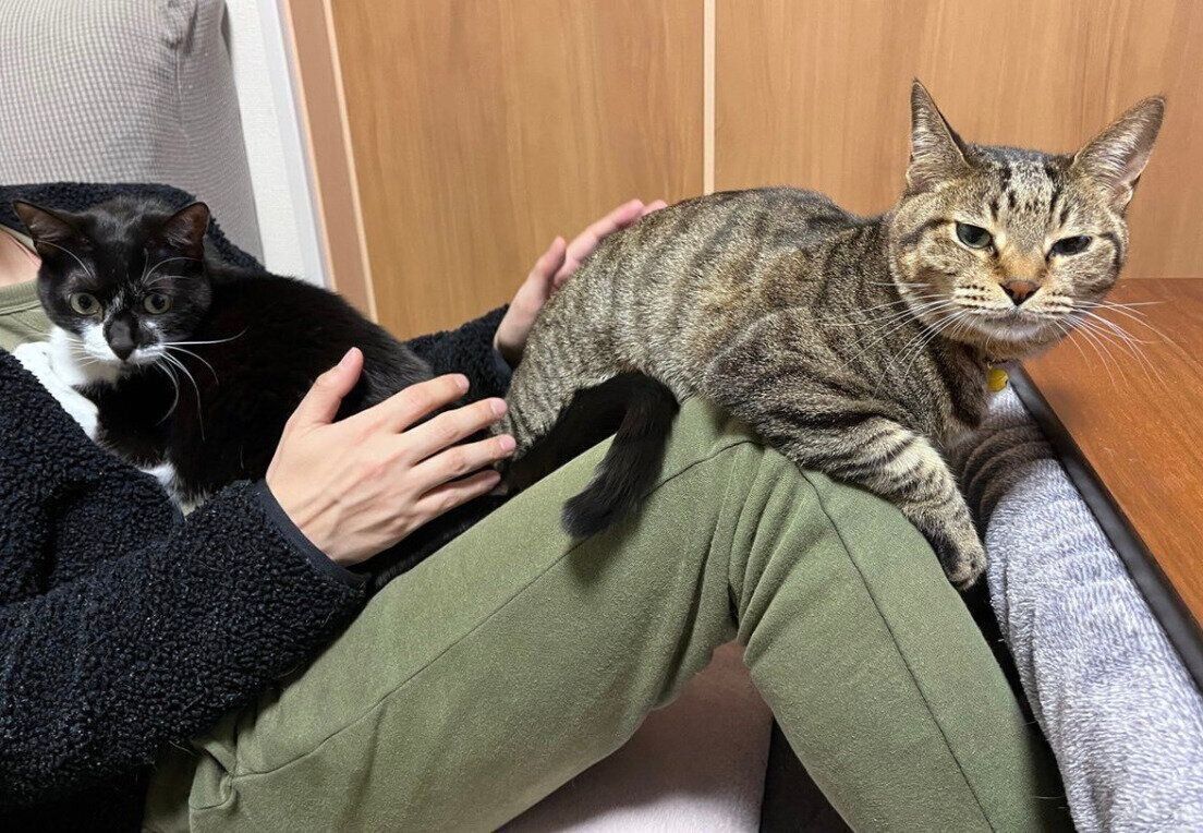 飼い主さんの上に乗るふれあくん、カン吉くん