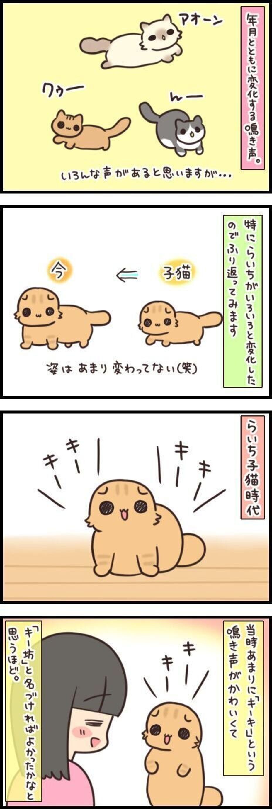 年月で変わる 猫のおもしろ鳴き声ビフォーアフター 連載 もふもふスコたん 159 ねこのきもちweb Magazine 年月で変わる 猫のおもしろ鳴き声ビフォーアフター 連載 もふもふスコたん 159 ねこのきもちweb Magazine